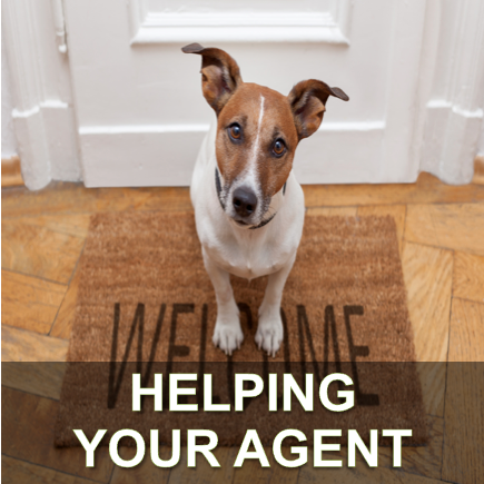 Help your agent to sell your home in Bromley