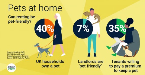 Can renting be pet friendly?