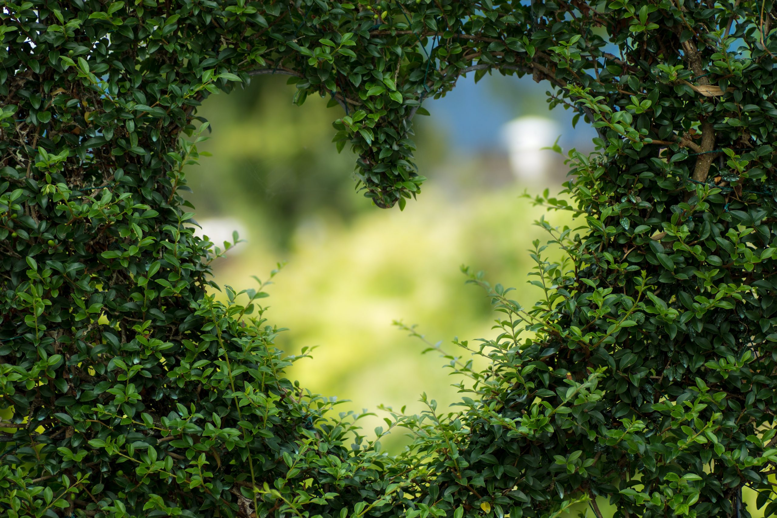 How to Make Your Bromley Garden Summer Ready