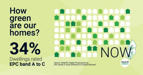 How green are our homes?