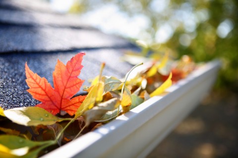 October Jobs: How to Prepare Your Home and Garden for Autumn