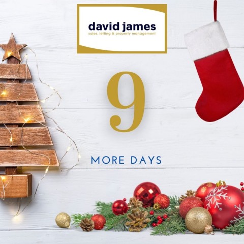 It is only 9 more days until the big day!