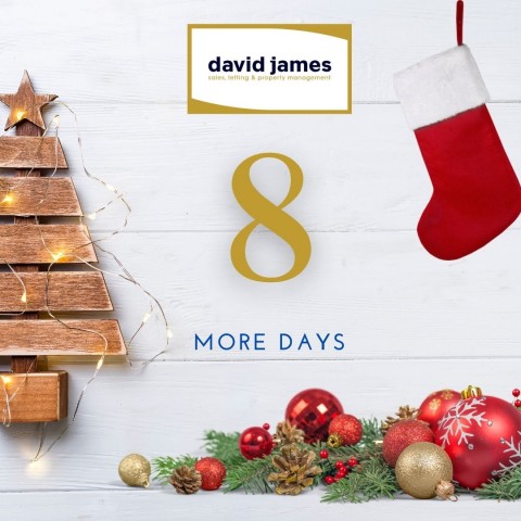 It is only 8 more days until the big day!