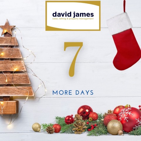 It is only 7 more days until the big day!