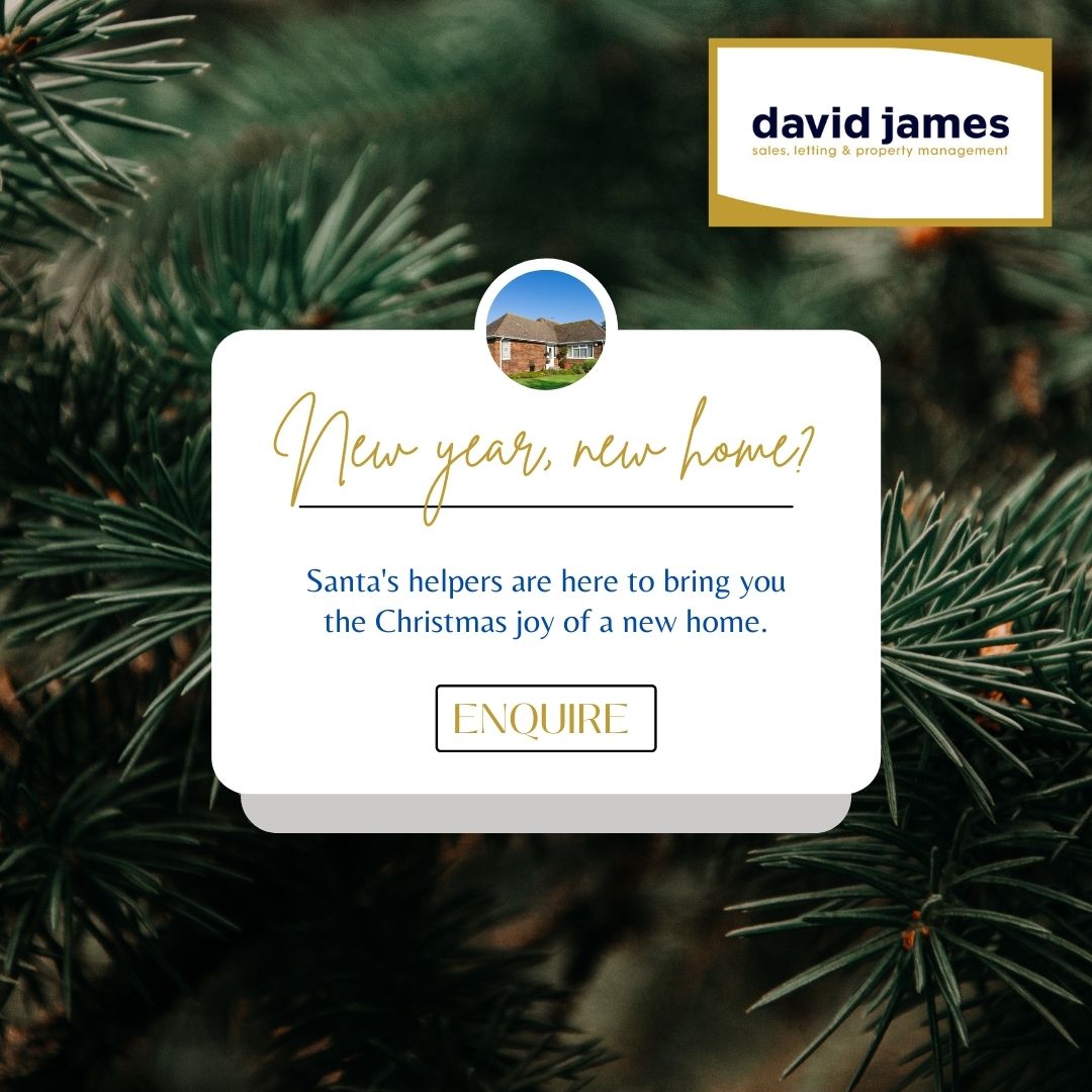 Santa's helpers are here at David James to bring you the Christmas joy of a new home.