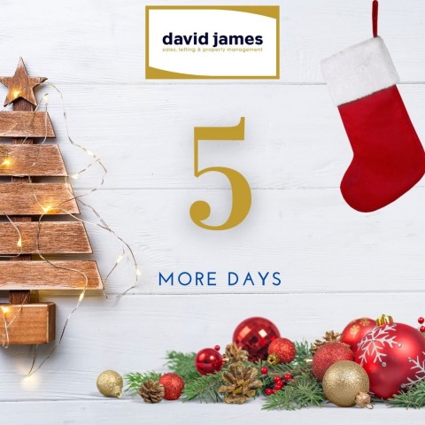 It is only 5 more days until the big day!