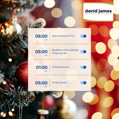 What are your plans this Christmas day?