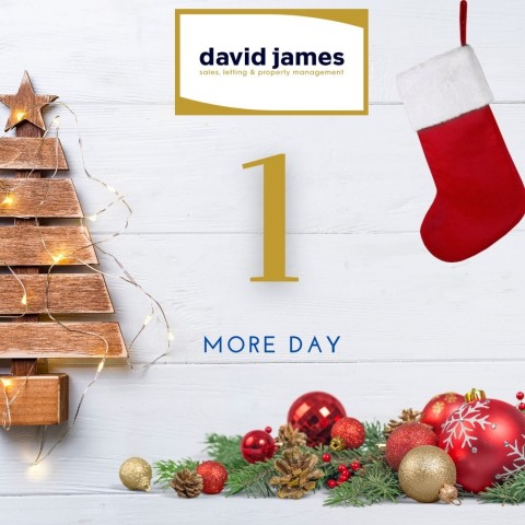 It is only 1 more day until the big day!