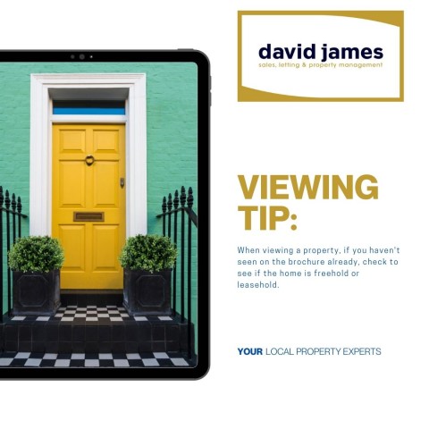 Viewing Tip