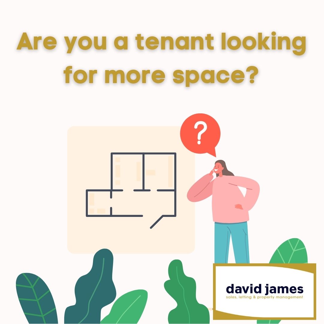 Are you a tenant who is looking to upsize? 