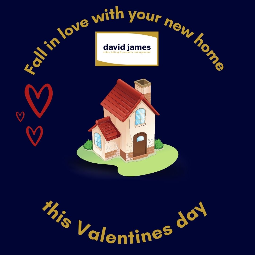 Are you looking for a new home this Valentines day?