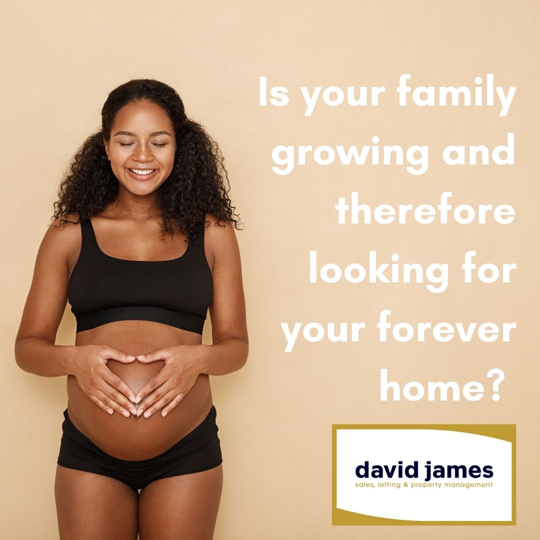 At David James, we like to make moving home as stress free as possible