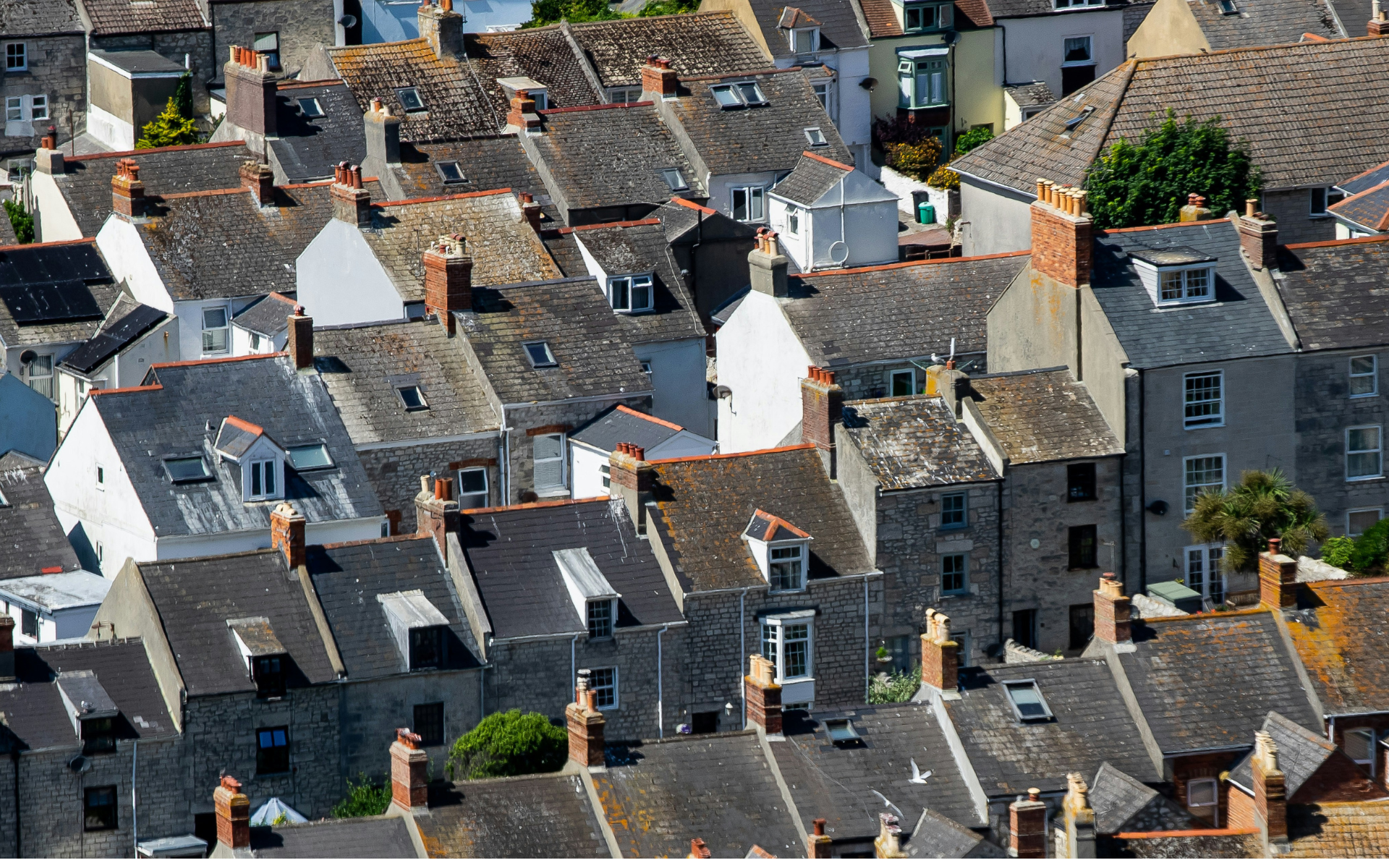 UK property market spring 2025: A resilient market amidst changing winds
